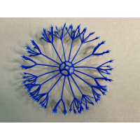 ресничка пиона син 76.550